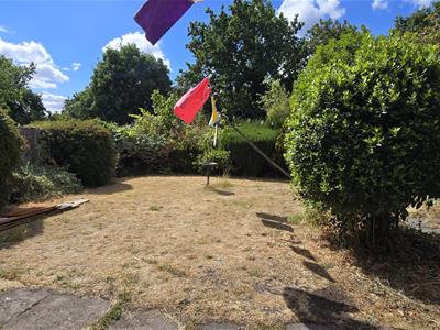 Picture 20